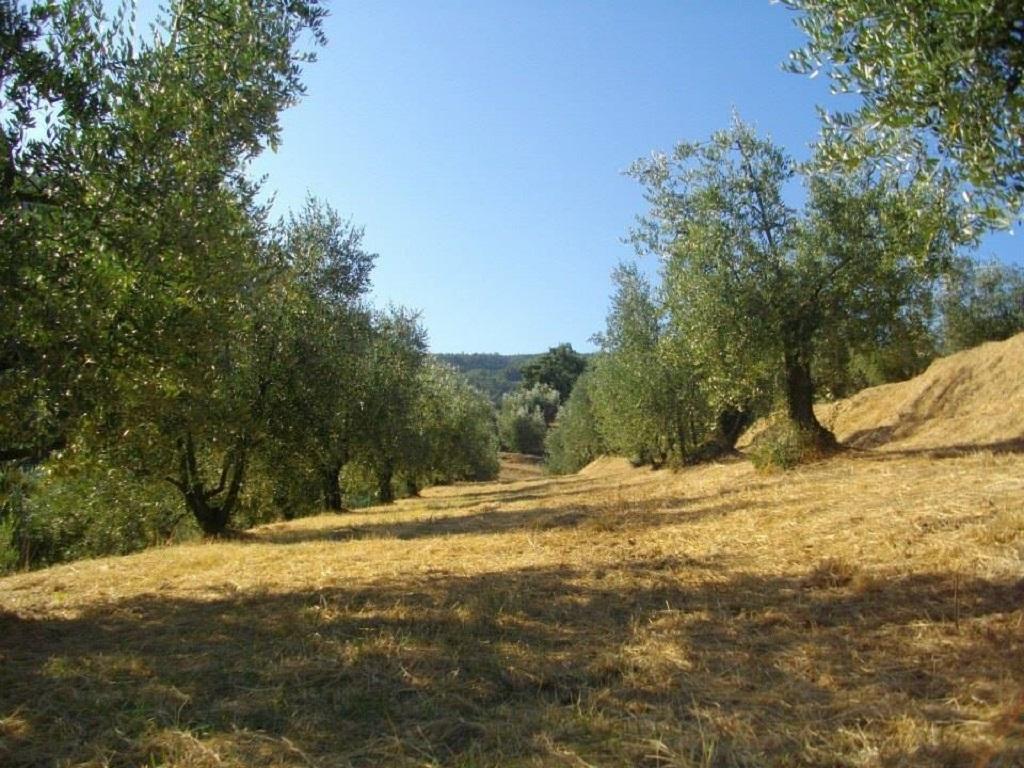 Agriturismo Terrarossa Villa Pistoia Exterior photo