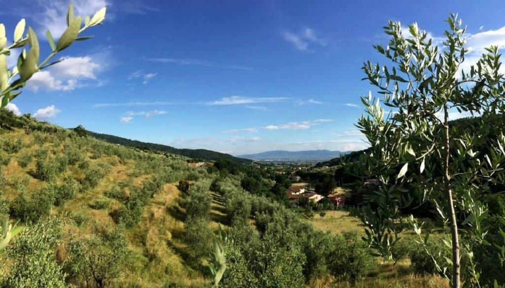 Agriturismo Terrarossa Villa Pistoia Exterior photo